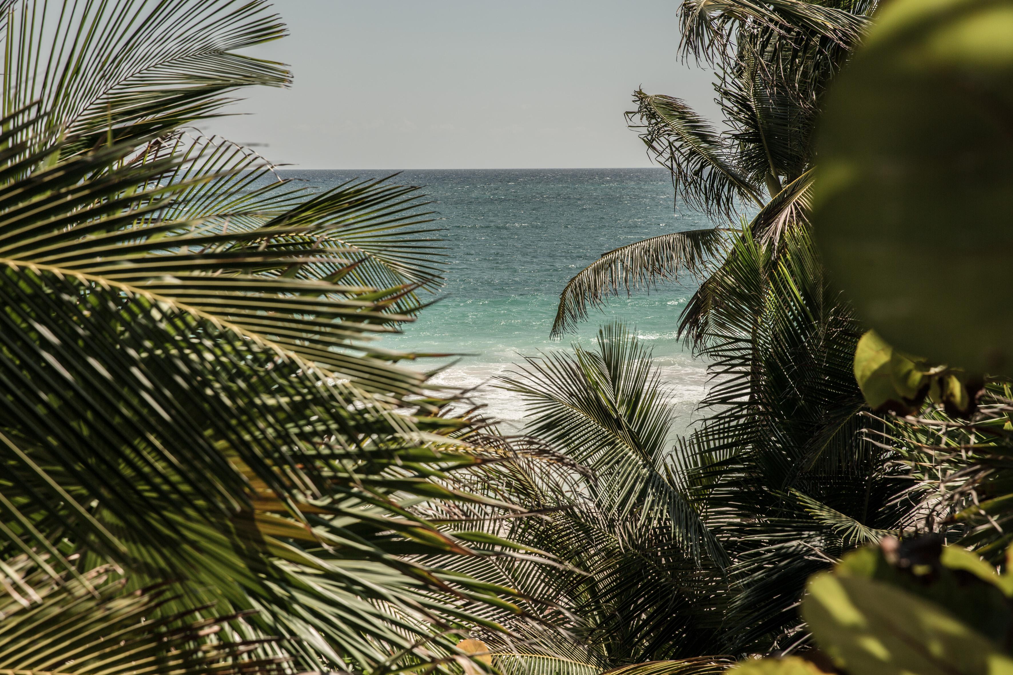 Be Tulum Beach & Spa Resort (Adults Only) المظهر الخارجي الصورة